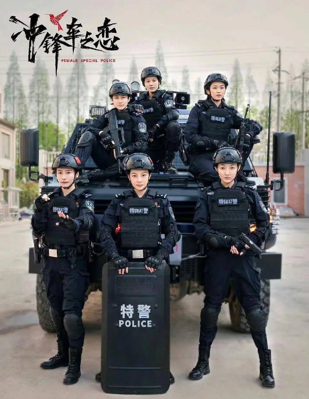 名称：女巡特警之蜂鸟突击队（2025） 更新至16集描述：长海市巡特警支队女子小队“蜂鸟”在协助一位年轻的母亲解决家庭纠纷时，发现了毒品交易的线索，后配合禁毒支队抓获毒贩“小丑”，救出三名被囚禁的少女