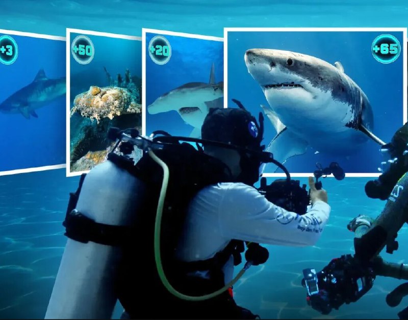 名称：众里寻鲨:拍摄大作战 All the Sharks (2025) 纪录片 1080P中字描述：实景节目