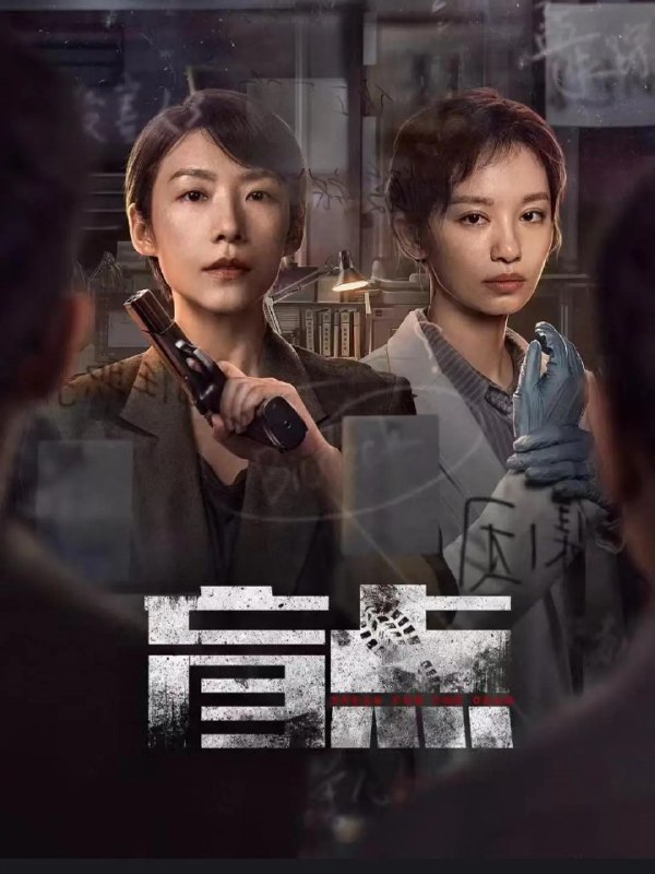 名称：盲点 (2025) 【更新EP24 1080p】【悬疑/犯罪】描述：　　在阴沉的蓝港市，女刑警安颖如都市脉搏的守望者，直面着城市的阴暗面