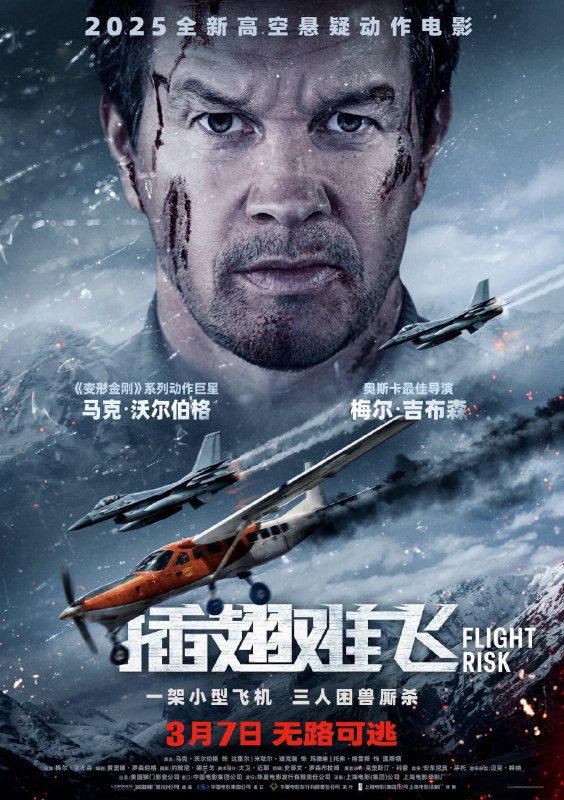 名称：插翅难飞 Flight Risk (2025) 4KSDR外挂中英双语字幕.描述：万尺高空之中，小型飞机舱内，警察、证人、杀手，三人困兽厮杀