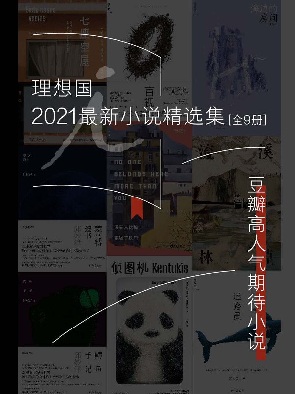 名称：理想国2021最新小说精选集(全9册) [大合集]描述：理想国2021最新小说精选集(全9册)包括《盲视》《海边的房间》《迷路员》《鳄鱼手记》《蒙马特遗书》《流溪》《没有人比你更属于这里》《侦图机》《七座空屋》