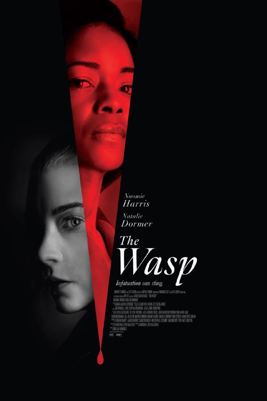 名称：黄蜂蜇 The.Wasp (2024) 4K高码.外挂中字.2160p.WEB.h265.mkv ( 8.2G )描述：在这部情节紧张、曲折离奇的心理惊悚片中，娜奥米·哈里斯和娜塔莉·多默尔分别饰演两个疏远的朋友，他们喝茶时重逢，却发现了一个危险而狡诈的阴谋，而这个阴谋将不可逆转地改变他们的生活