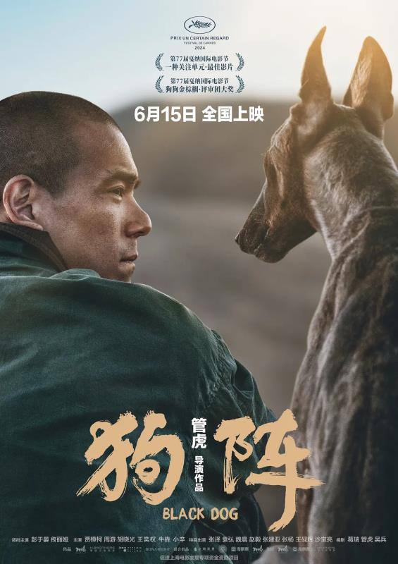 名称：狗阵（2024） 正式版 1080P高码「彭于晏 佟丽娅」描述：十余年前的西北小镇，刚出狱的二郎（彭于晏 饰）重归故土，面对偏见，面对防备，他不知该如何开启新生活