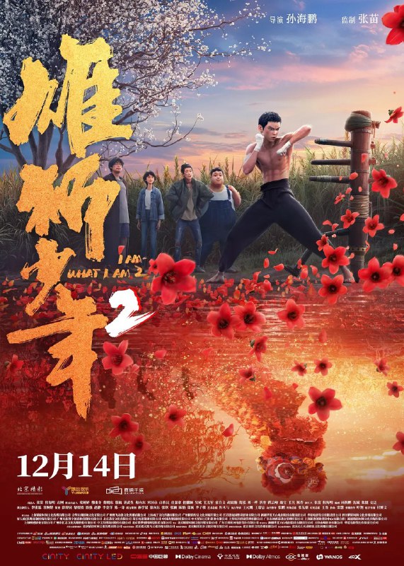 名称：雄狮少年2/雄狮少年 (2024) 【60帧率版本】【国语配音+中文字幕】两部全描述：又名: I Am What I Am 2 　来上海打工的无名之辈阿娟(李昕 配音)，为了赚钱给父亲治病，同意代表没落的传武拳馆参加“上海格斗之夜”武术比赛，为此他必须战胜所有的高手、偏见和自己