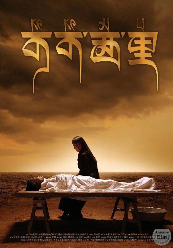 名称：可可西里 (2004)描述：尕玉（张磊 饰）本来是个警察，为了调查藏羚羊猎杀状况，他假扮记者身份，随考察团来到可可西里——那里气候寒冷、空气稀薄，含氧量极低