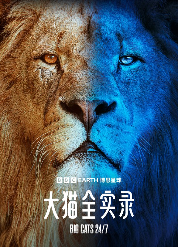 名称：大猫全实录.Big.Cats.S01 (2024) 4K高码.英语中字.2160p.WEB-DL.DDP2.0.H265.mkv (全 6 集)剧集简介描述：剧集简介追随非洲大型猫科动物的戏剧性生活，发现使它们能够征服博茨瓦纳充满挑战和令人叹为观止的地貌的新行为