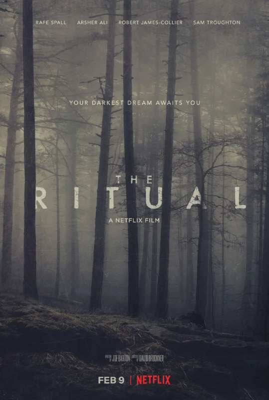 名称：黑森灵 The Ritual (2017)描述：故事讲述大学里的四个老朋友徒步穿越斯堪的纳维亚的荒野，然而错误的决定让他们深入北欧神话传说中的神秘黑森林，一个古老邪恶的生物也盯上几个人