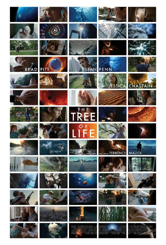 名称：生命之树 The Tree of Life (2011)描述：故事发生在20世纪50年代的美国中西部，通过讲述一个典型的美国家庭故事表达了创作者对生命的看法