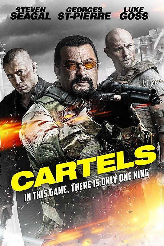 名称：杀死萨拉查 Cartels 1080p remux (2016) 19.91GB 中文字幕 已刮削描述：一批精英團隊被指派去保護一個危險的毒梟，他們藏匿在一家豪華酒店內等待毒品萃取製作