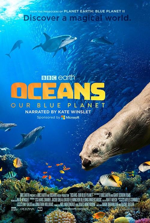 资源标题：海洋：我们的蓝色星球 Oceans: Our Blue Planet 2160p remux (2018) 17.27GB 中文字幕 已刮削资源描述：Embarkonaglobalodysseytodiscoverthelargestandleastexploredhabitatonearth.Newoceanscienceandtechnologyhasallowedustogofurtherintotheunknownthanweeverthoughtpossible.链接：