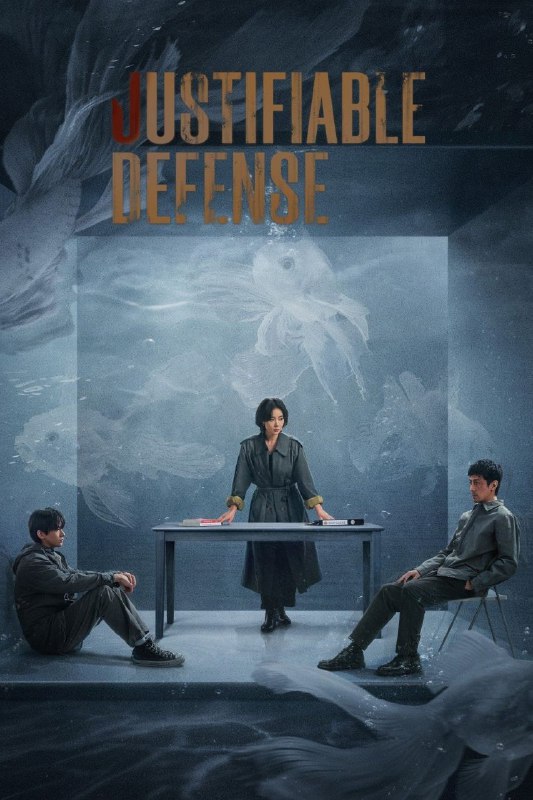 名称：正当防卫(2025)【4K .高码】【剧情/悬疑】【更新至第5集】描述：该剧讲述了市检察院资深检察官段鸿山(张鲁一 饰)在办理“被家暴女性杀夫”案件时，省检察院青年检察官方灵渊(高叶 饰)被任派协助办案
