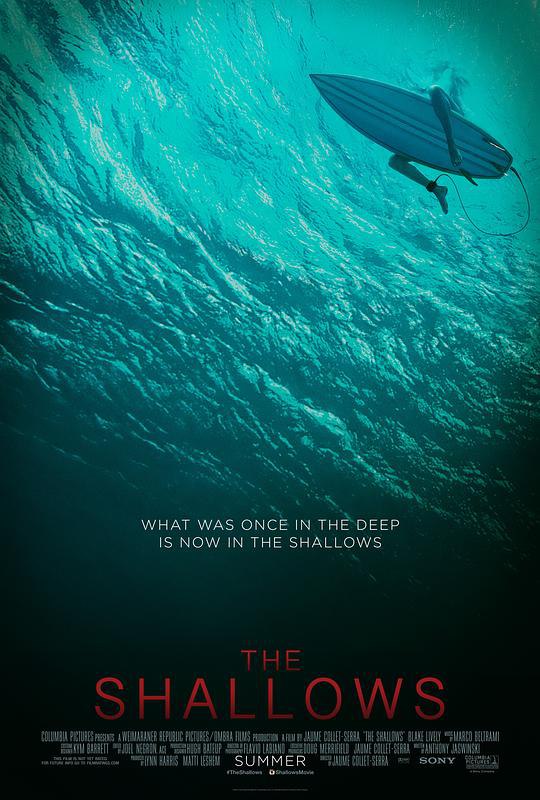 名称：鲨滩 The Shallows 2160p remux (2016) 48.14GB 中文字幕 已刮削描述：为了纪念早逝的母亲，南希（布蕾克·莱弗利BlakeLively饰）来到了那片对于母亲来说有着别样意义的沙滩，准备在此进行一场冲浪运动