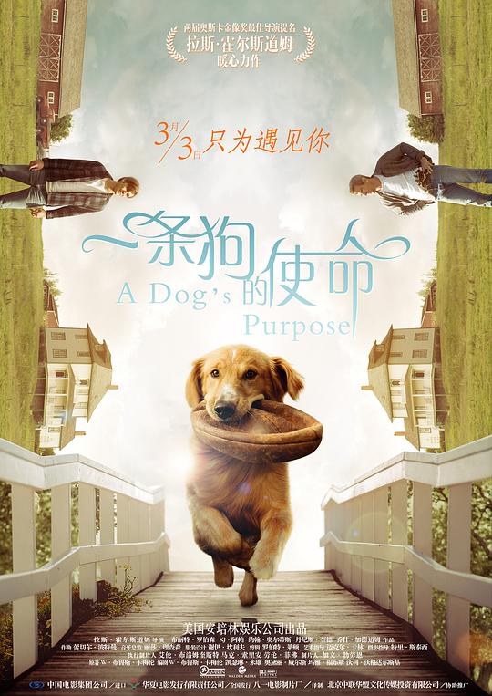 资源标题：一条狗的使命 A Dog's Purpose 1080p remux (2017) 27.40GB 中文字幕 已刮削资源描述：影片以汪星人的视角展现狗狗和人类的微妙情感，一只狗狗陪伴小主人长大成人，甚至为他追到了女朋友，后来它年迈死去又转世投胎变成其他性别和类型的汪，第二次轮回狗狗变成了警犬威风凛凛，再次转轮回，又成了陪伴一位单身女青年的小柯基犬