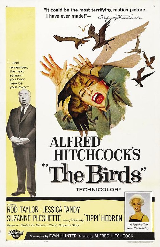 名称：群鸟 The Birds 2160p remux (1963) 54.80GB 中文字幕 已刮削描述：米兰妮（蒂比·海德莉TippiHedren饰）是一个富家女，偶然在宠物店里遇见律师米契（罗德泰勒RodTaylor饰），二人萌生爱意