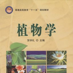 《.植物学 》简介：属于菊科一年生草本植物，原产北美洲