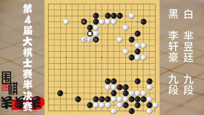 名称：《小围棋大人生》亮点：以围棋为镜，映照人生百态，智慧与哲思在黑白之间流转，启迪心灵成长