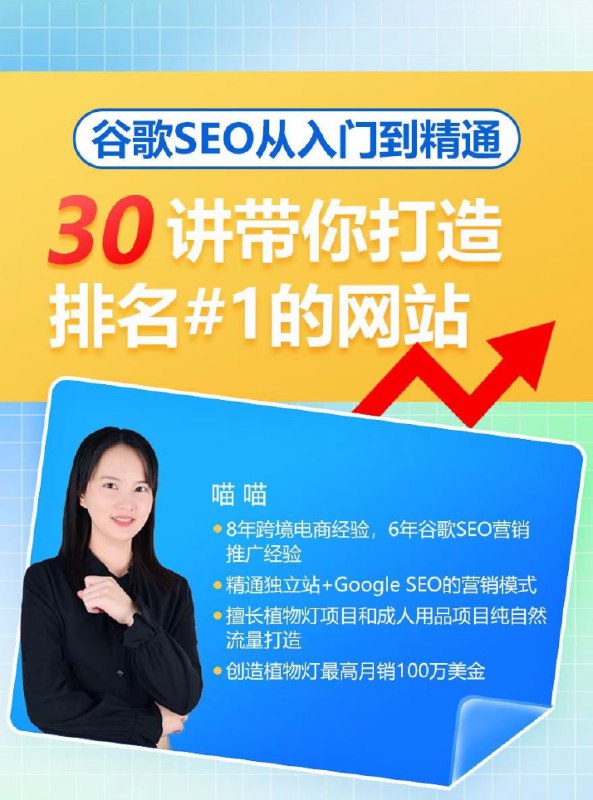 《谷歌SEO从入门到精通，30讲带你打造排名#1网站  》简介：本课程系统化讲解搜索引擎优化的核心策略，涵盖关键词研究、页面优化、技术SEO等全链路知识体系