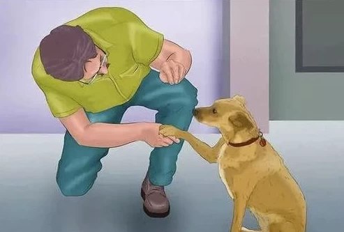 名称：《专业训犬教程140节课》简介：《专业训犬教程140节课》是一套全面且系统的训犬课程，包含140节丰富的教学内容