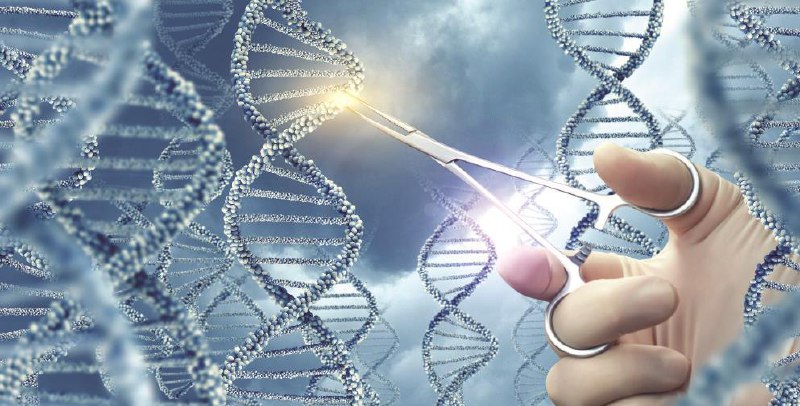 名称：《生物学》 | 简介：生物学这本书带给读者一个新鲜的视角，无论是在探索历史、社会还是文化方面，它都能为你提供独特的深度和思考