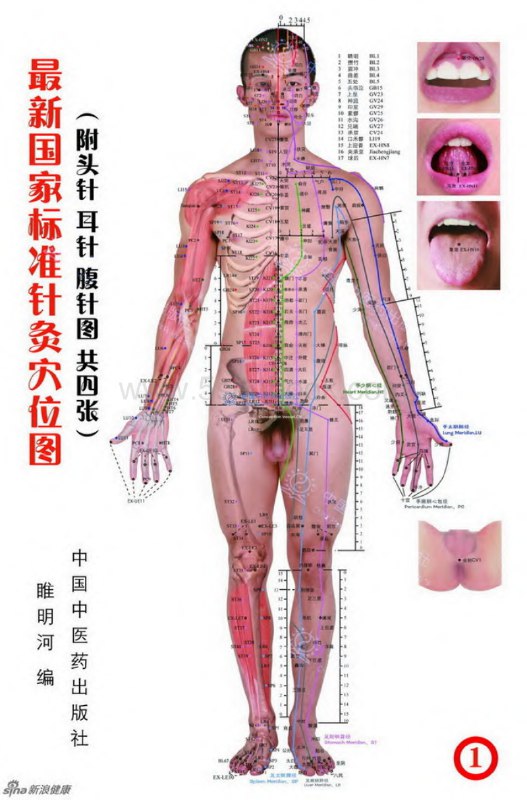 名称：《中医如此神奇之经络穴位（高清版）》 | 简介：高清呈现中医经络穴位知识，详细介绍人体经络走向、穴位位置和功效，为学习中医针灸、推拿等疗法及日常养生保健提供重要参考 