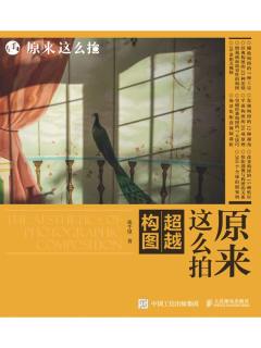 《原来这么拍：超越构图》简介：本书提供了关于原来这么拍：超越构图的深度解析，涵盖其发展背景、核心概念以及实际应用