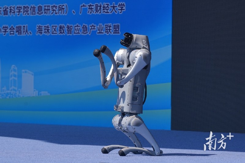 📚名称：《防震减灾科普宣传动画》⭐亮点：生动有趣的动画带你了解防震减灾知识，提升应急能力，保护生命安全