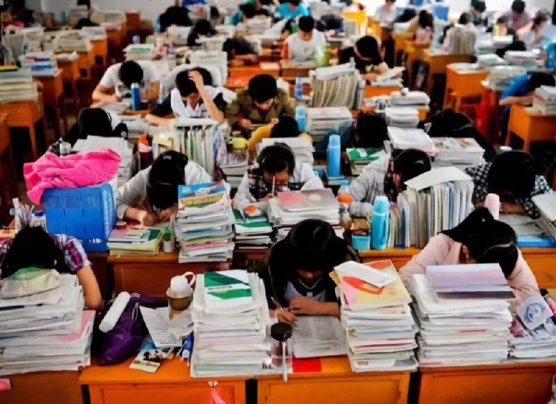 名称：《高考》 | 简介：高考这本书带给读者一个新鲜的视角，无论是在探索历史、社会还是文化方面，它都能为你提供独特的深度和思考