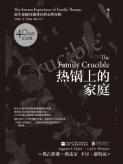 名称：《热锅上的家庭： 家庭问题背后的心理真相 》简介：热锅上的家庭： 家庭问题背后的心理真相是一本围绕其核心主题展开的深刻探索之作，书中详细讨论了与其主题相关的各类观点与现实应用，带给读者全新的思考视角