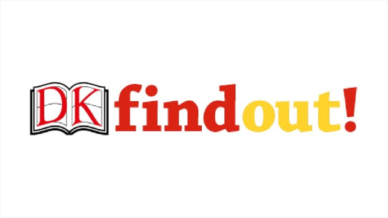 📚名称：《DK发现探索系列科普绘本DK Findout (PDF+视频) 》⭐亮点：生动有趣的科普内容，结合高清图片和视频，激发孩子探索世界的兴趣