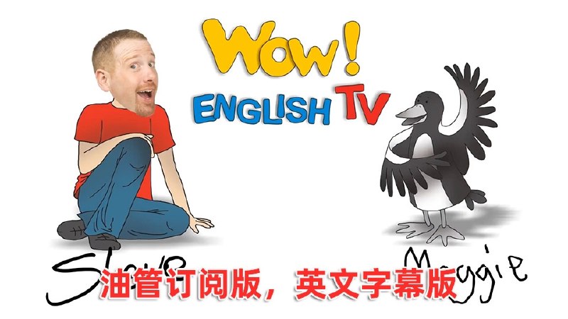 名称：《史提夫少儿趣味英语动画视频》简介：《史提夫少儿趣味英语动画视频》是一套以趣味动画形式呈现的少儿英语学习资料