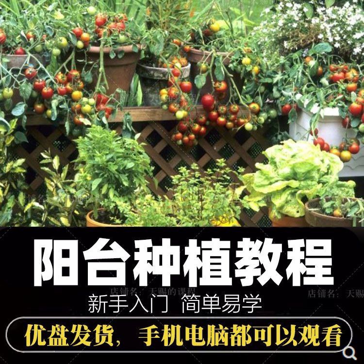 📚名称：《自学阳台种植蔬菜水果盆栽绿植盆景视频教程阳台科学种植技术课程》⭐亮点：轻松掌握阳台种植技巧，科学培育蔬菜水果盆栽，打造家庭绿色小天地🏷️标签：#阳台种植 #科学种植 #盆栽技术 #家庭园艺 #视频教程 📅更新日期：2025-05-27 21:05:17🔗链接：
