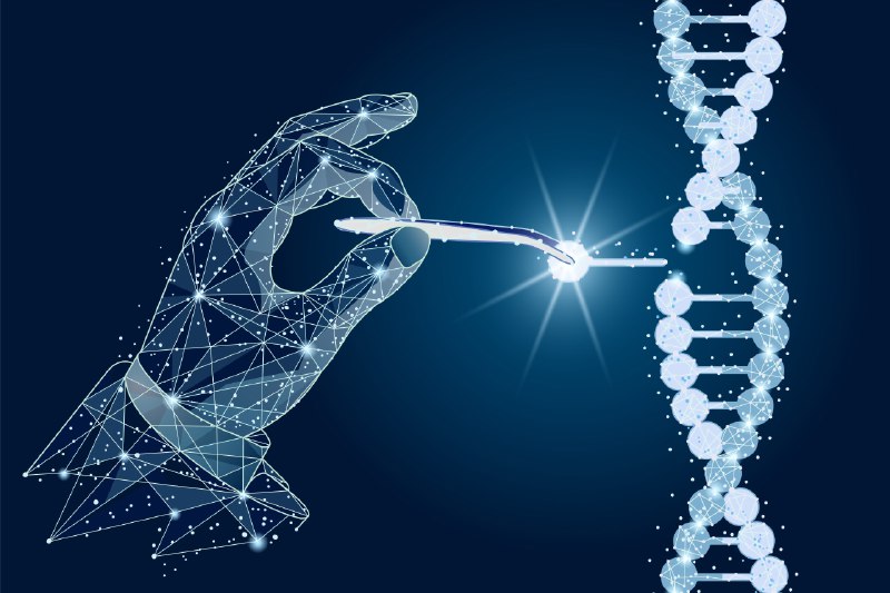 《.基因工程 》简介：通过直接修改生物体的遗传物质来实现特定目标的技术，主要依托DNA重组、基因编辑等手段，广泛应用于作物改良、疾病治疗和工业微生物改造等领域