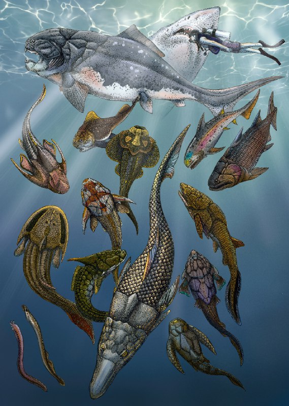 名称：《古图类》简介：《古图类》资料包含各种古代图像资料，如古代地图、天文图、绘画作品、器物图等