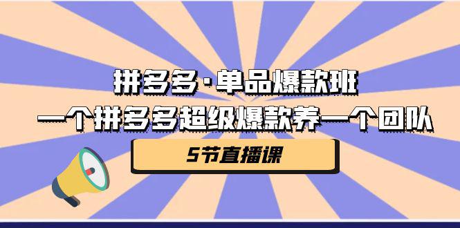 名称：《一个拼多多超级爆款养一个团队 》简介：一个拼多多超级爆款养一个团队这门课程为学习者提供了全面的知识和技巧，涵盖了从基础到进阶的多项内容