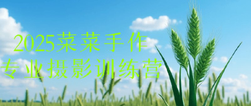 📚名称：《2025菜菜手作专业摄影训练营》⭐亮点：专业摄影技巧全掌握，手作拍摄更出彩，快速提升作品质感🏷️标签：#摄影训练营 #菜菜手作 #专业提升 📅更新日期：2025-05-11 06:33:30🔗链接：