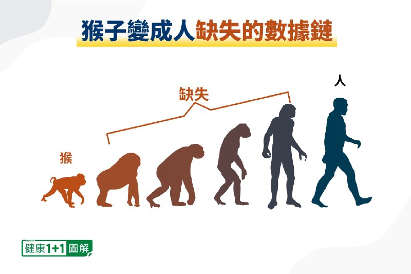 《进化论骗局  》简介：该理论质疑主流科学界关于生物演化的观点，主张达尔文提出的自然选择学说存在证据缺失与逻辑漏洞，并认为相关研究受到学术权威与意识形态的操控