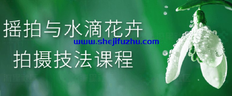 名称：《摇拍与水滴花卉拍摄技法课程 》简介：摇拍与水滴花卉拍摄技法课程这门课程为学习者提供了全面的知识和技巧，涵盖了从基础到进阶的多项内容