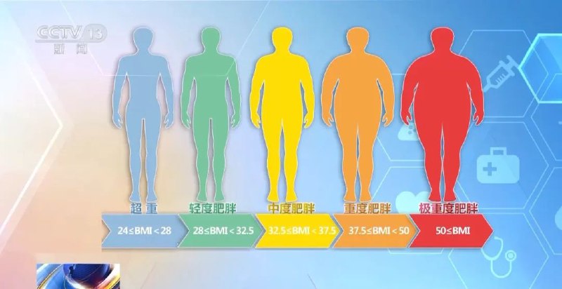 名称：《国家版减肥指南来了！权威食谱，全是干货》简介：《国家版减肥指南来了！权威食谱，全是干货》是一份具有权威性的减肥指导资料，重点在于提供科学的减肥食谱和实用的减肥建议