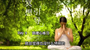 名称：《清新冥想100天 》简介：清新冥想100天汇集了多领域的知识，帮助你在生活与职业中找到更多的可能性