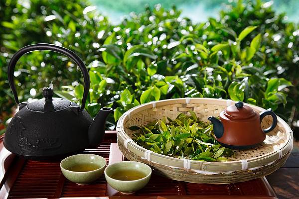 《中国茶艺》简介：融合哲学、礼仪与艺术的传统实践，以茶为媒传达“和、敬、清、寂”的精神追求
