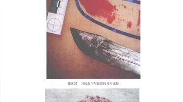 《铁道损伤图谱.特殊现场清理师》简介：本书提供了关于铁道损伤图谱.特殊现场清理师的深度解析，涵盖其发展背景、核心概念以及实际应用