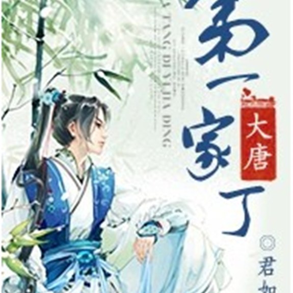 名称：《大唐第一家丁》著：君如意播：安燃460集完简介：《大唐第一家丁》以唐朝为背景，讲述了主角作为一名家丁在唐朝的传奇故事