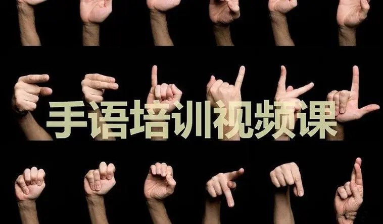名称：《中国手语培训教程【视频】【课程】【3.6GB】 》简介：中国手语培训教程【视频】【课程】【3.6GB】汇集了多领域的知识，帮助你在生活与职业中找到更多的可能性