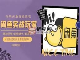 名称：《手把手教你0到1系统玩转闲鱼变现 》简介：手把手教你0到1系统玩转闲鱼变现汇集了多领域的知识，帮助你在生活与职业中找到更多的可能性