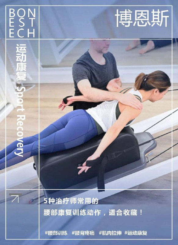 【资料】名称：腰痛运动康复|简介：《腰痛运动康复》是一项跨学科的学习资源，结合了多方面的知识与技巧