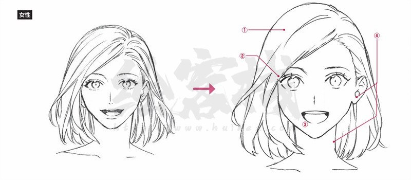 《从人物画法》简介：本书系统解析从人物画法的核心内容，并结合实用案例帮助读者加深理解