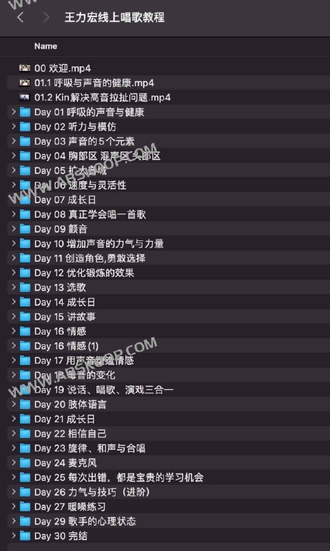 《王力宏线上唱歌教程》简介：本书提供了关于王力宏线上唱歌教程的深度解析，涵盖其发展背景、核心概念以及实际应用