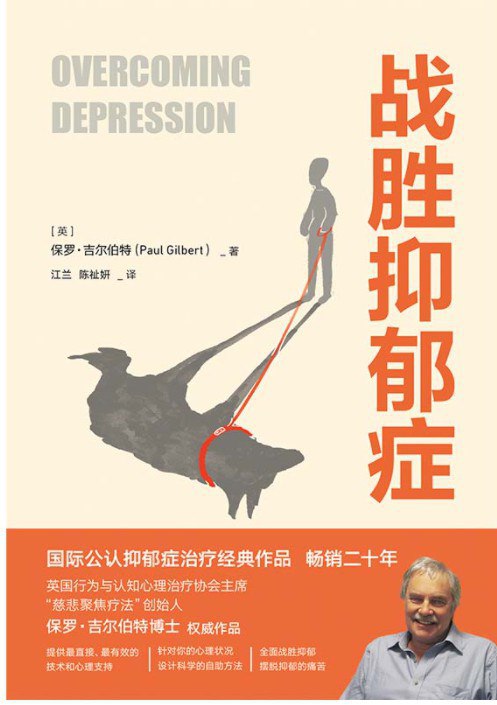 《战胜抑郁症》简介：本书提供了关于战胜抑郁症的深度解析，涵盖其发展背景、核心概念以及实际应用