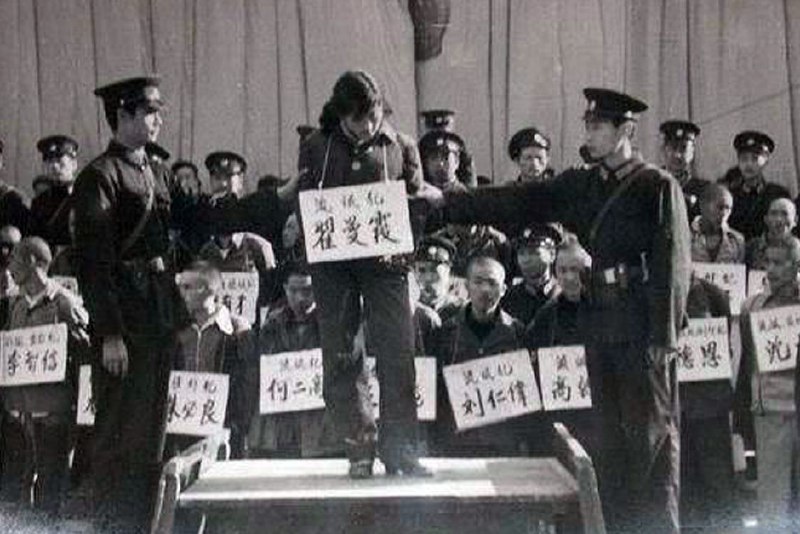 《严打”纪实》简介：本书提供了关于严打”纪实的深度解析，涵盖其发展背景、核心概念以及实际应用