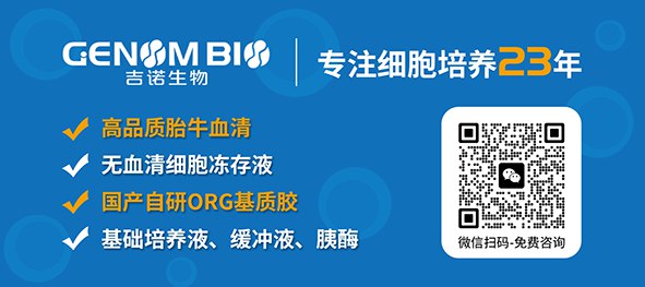名称：《中外期刊2.17》|简介：《中外期刊2.17》涵盖了丰富的国内外资讯，涉及政治、经济、文化、科技等多个领域